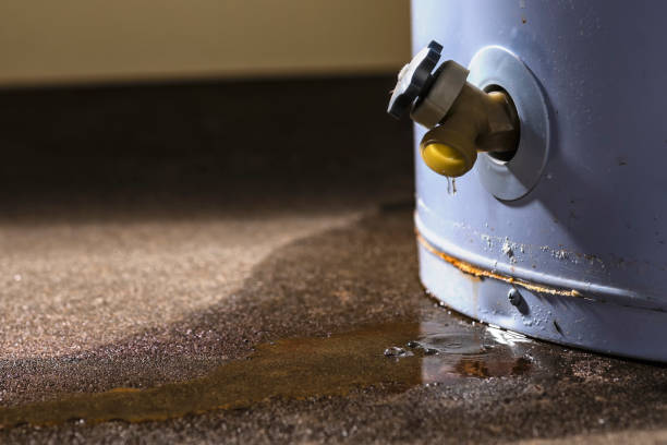 Water damage restoration mold remediation in Stiles, PA