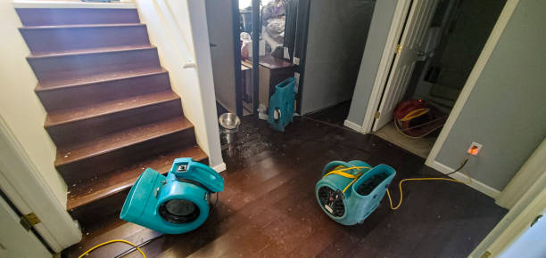  Stiles, PA Water damage restoration Pros