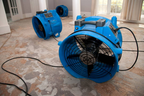 Best Water damage cleanup near me  in Stiles, PA