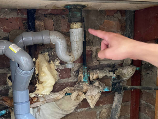 Best Flooded house restoration  in Stiles, PA