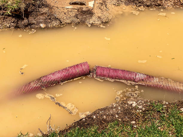 Best Water damage restoration near me  in Stiles, PA