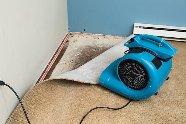 Water damage restoration insurance claims in Stiles, PA